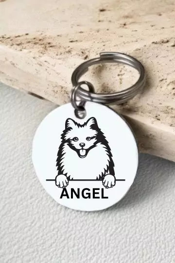 American Eskimo Dog Tag Collar Personalized