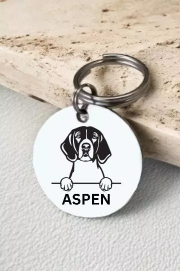 American Foxhounds Dog Tag Collar Personalized