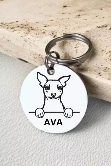 American Hairless Terriers Dog Tag Collar Personalized