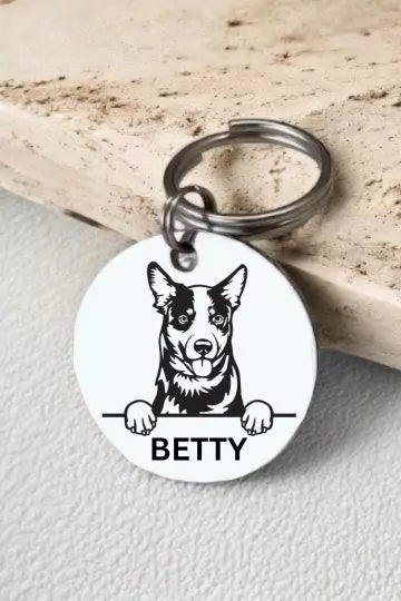 Personalized Australian Cattle Dog Tag Collar – Custom engraved name tag for easy identification, adjustable and durable design for comfort and security. Perfect for active and adventurous dogs.