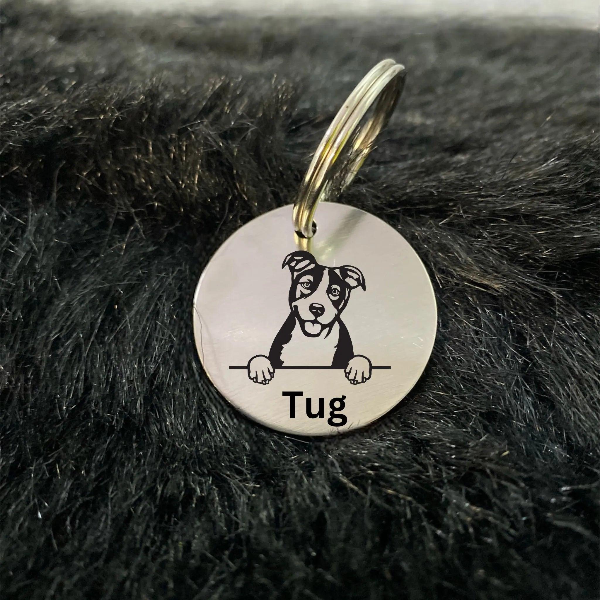 Basenjis Dog Tag Collar Personalized - Ampkrafts