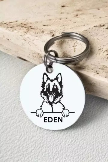 Belgian Tervuren dogs Dog Tag Collar Personalized