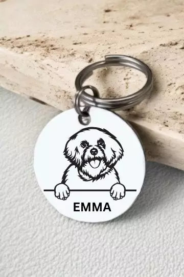 Bichon Frise dogs Dog Tag Collar Personalized