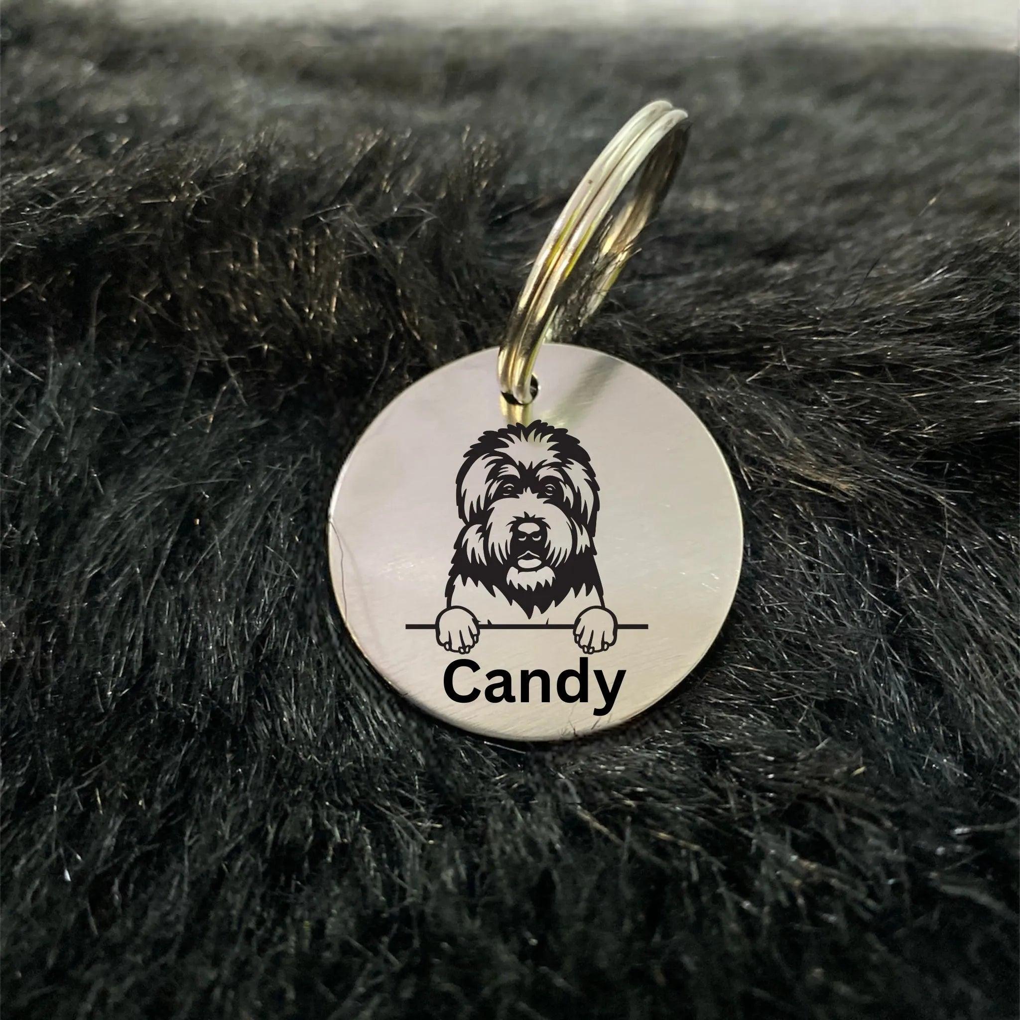 Black Russian Terriers Dog Tag Collar Personalized - Ampkrafts