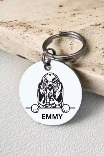 Bloodhounds Dog Tag Collar Personalized