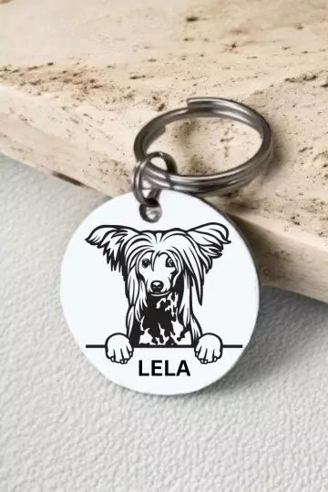 Chinese Crested Dog Collar Personalized