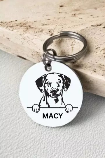 Dalmatian Dog Collar Personalized