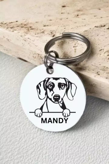 Doberman Dog Collar Personalized