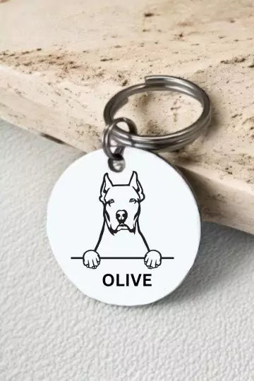 Dogo Argentino Dog Collar Personalized 