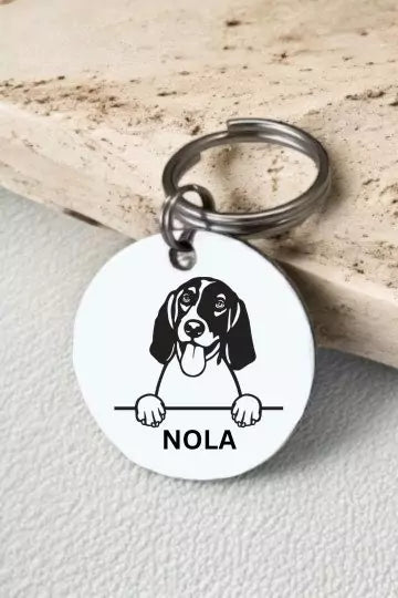 English Foxhounds Dog Collar Personalized 