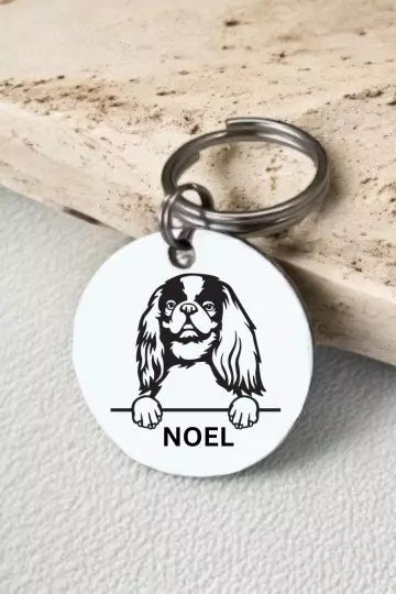 English Toy Spaniels Dog Collar Personalized