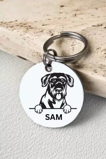 Giant Schnauzers Dog Collar Personalized