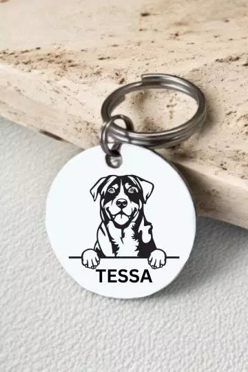 Greater Swiss Mountain Dog Collar Personalized