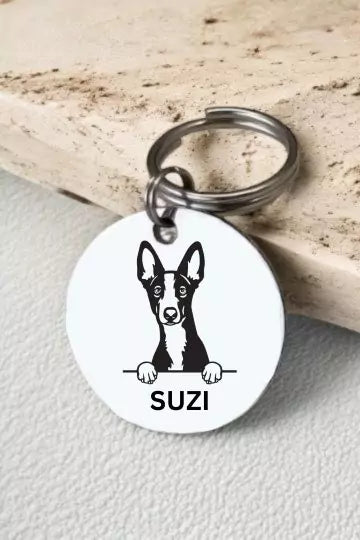 Ibizan Hounds Dog Collar Personalized