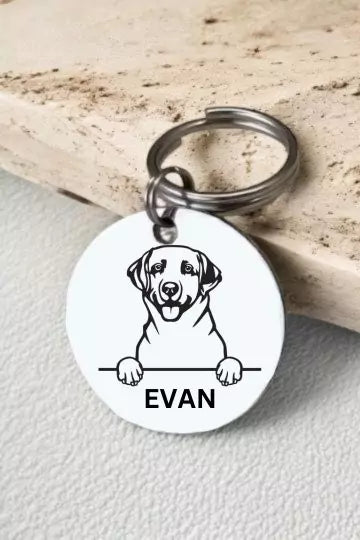 Labrador Retriever Dog Collar Personalized