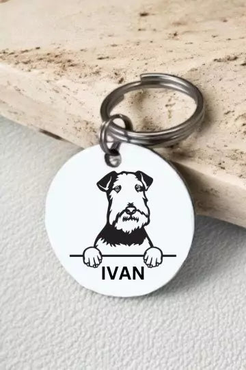 Lakeland Terriers Dog Collar Personalized