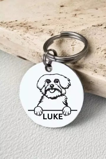 Maltese Dog Collar Personalized