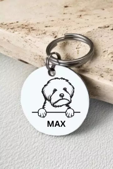 Maltipoo Dog Collar Personalized