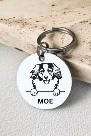 Nederlandse Kooikerhondjes Dog Collar Personalized