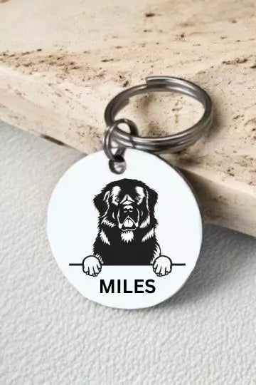 New foundland Dog Collar Personalized