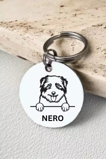 Norfolk Terriers Dog Collar Personalized