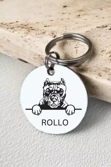 Pitbull Dog Collar Personalized