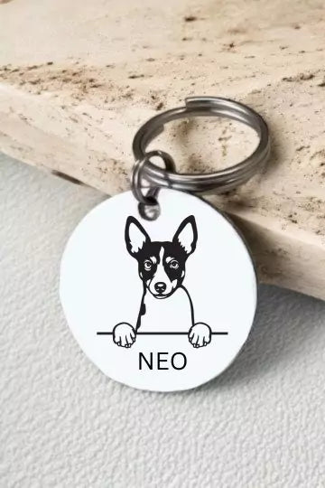 Rat Terriers Dog Tag Collar Personalized