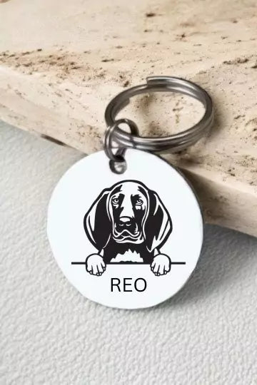 Redbone Coonhounds Dog Tag Collar Personalized