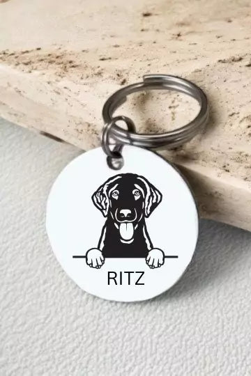 Retriever Curly Coated Dog Tag Collar Personalized