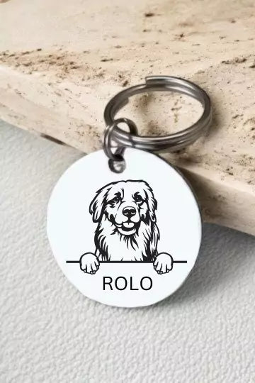 Retrievers Golden Dog Tag Collar Personalized