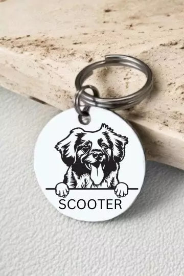 Retrievers Nova Scotia Duck Tolling Dog Tag Collar Personalized