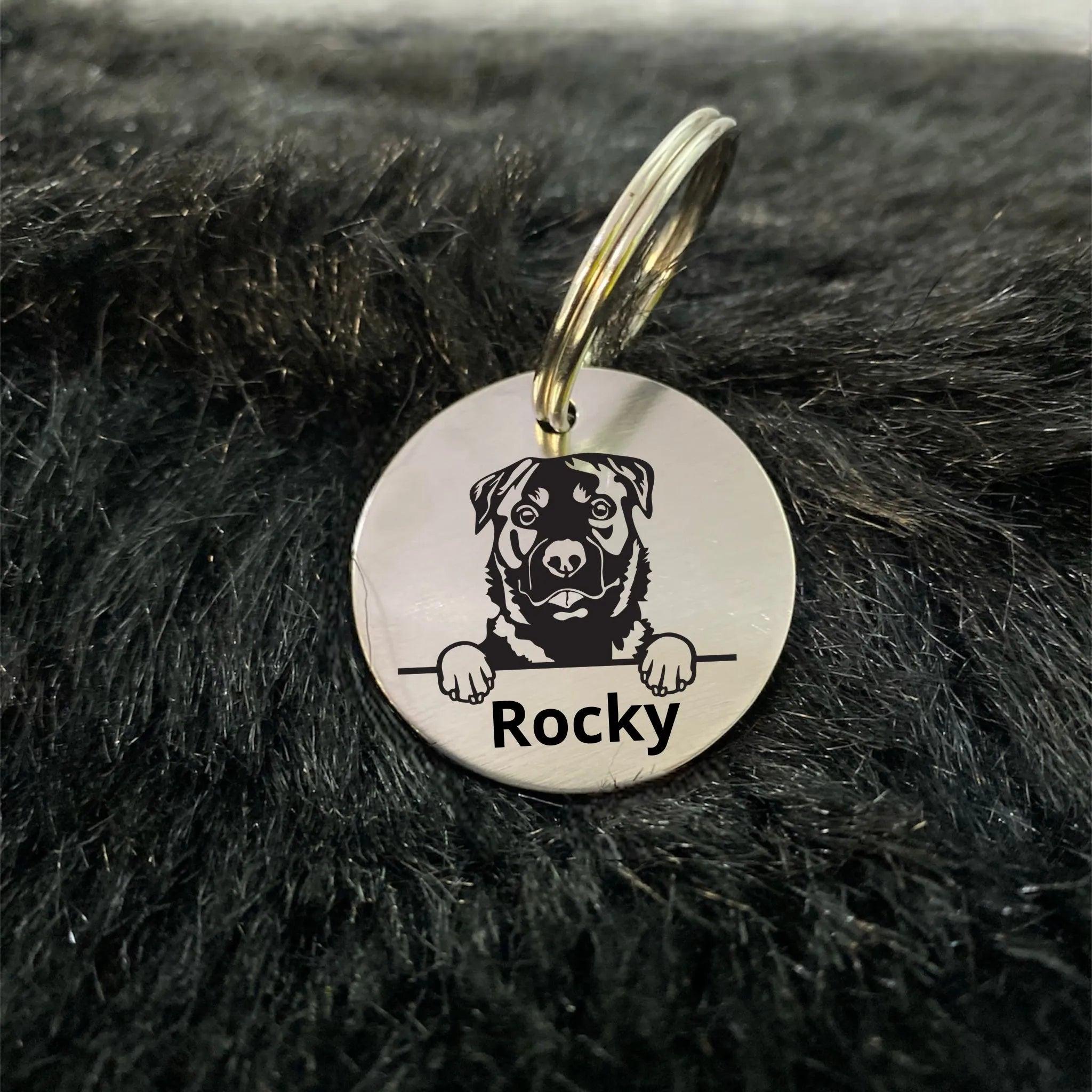 Rotweller Dog Tag Collar Personalized - Ampkrafts