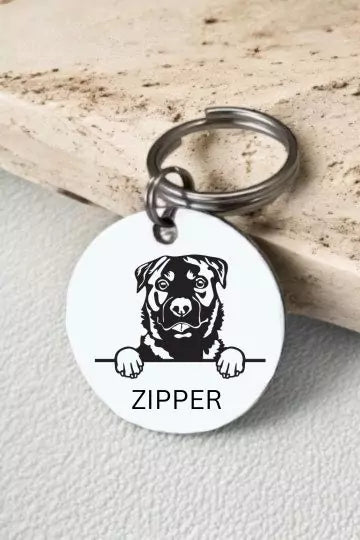 RotwellersDog Tag Collar Personalized