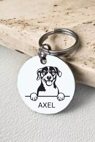 Russell Terriers Dog Tag Collar Personalized